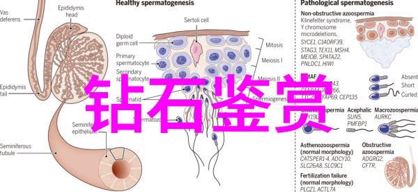 V娘的故事星辰下的秘密交响曲