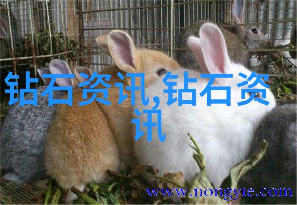 铸造模具工艺流程我来告诉你从零到英雄一步一步的模具制作秘诀