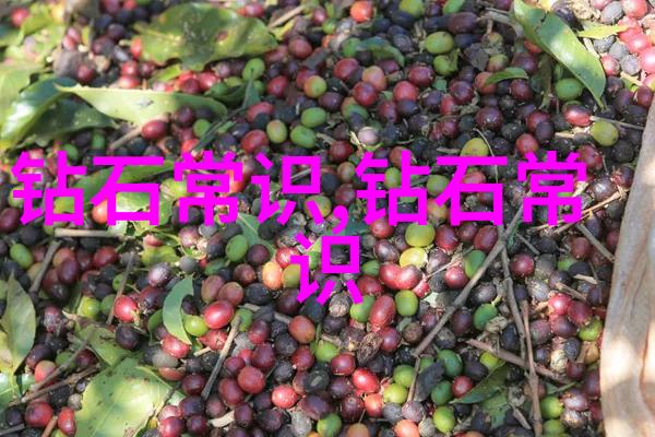 秘密宝石藏匿在迷雾中的光芒
