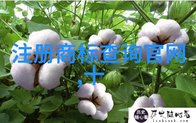 在光阴中寻找自我自我发现之旅中的点滴记录