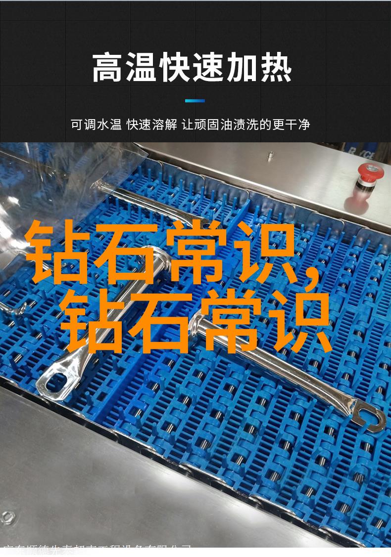 大婚晚辰 肥妈向善 - 喜事连连肥妈的大婚佳期与家人团圆的温馨瞬间