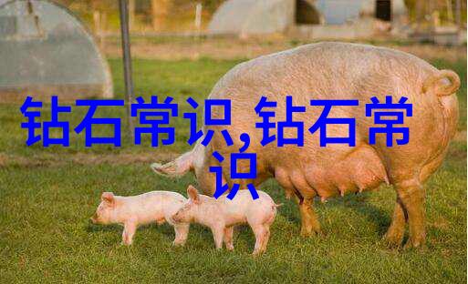 宠物美容师的艺术与爱从毛茸茸到光鲜亮丽的宠物变身之旅