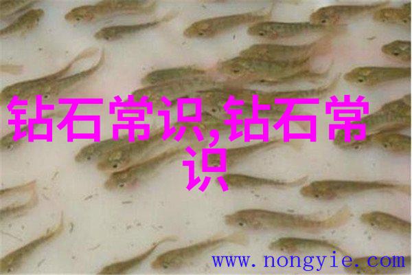 居家设计我的生活小工厂如何打造既实用又美观的家居空间