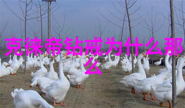 色护士网我是怎么在色护士网上找到了完美的颜值顾问
