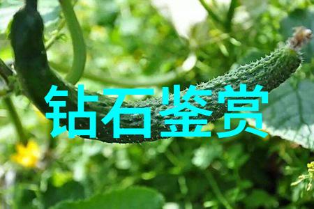 工艺美术专业学习工艺美术的艺术创作与技术操作