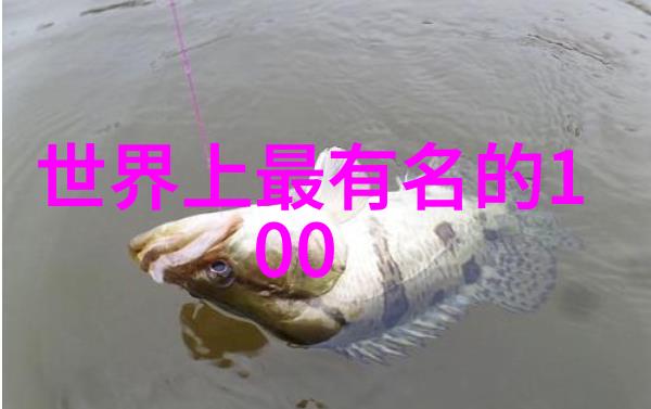 翡翠之冠糯种手镯的智选之道