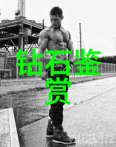 柳公权传探索明清边陲领主政治生态与文化交融
