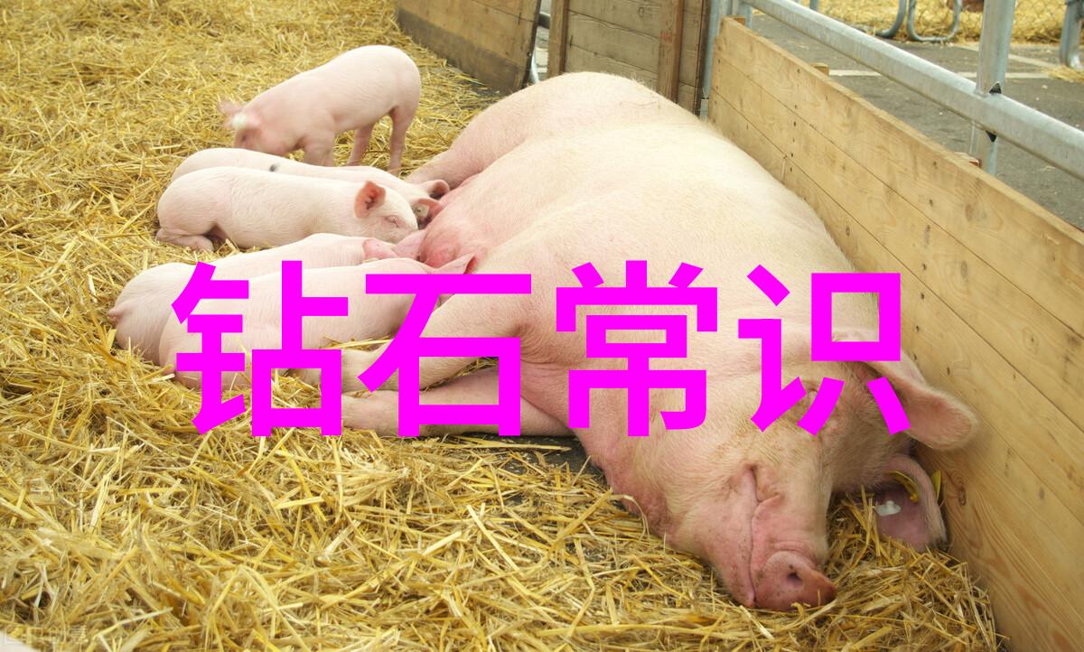 中国企业公司排行榜我来告诉你这10家公司真的不简单