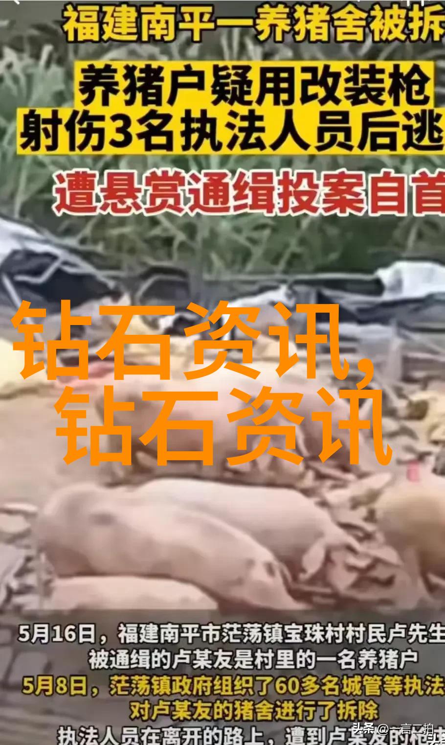 探索岭南园林之美古典与自然的和谐