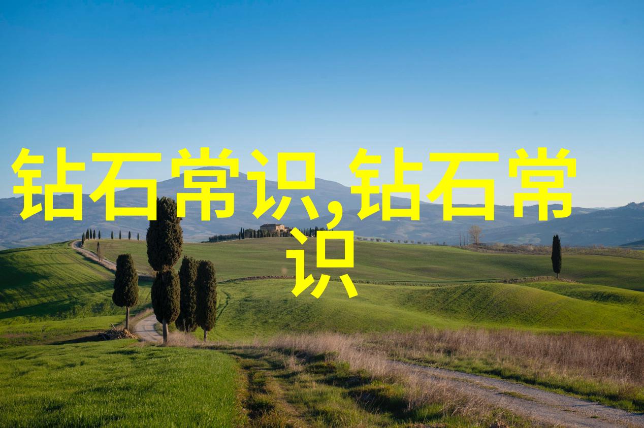 定制婚戒镶嵌爱的艺术与情感