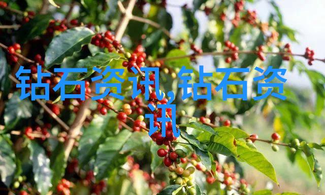 装饰界新星诞生室内设计师资格证认证流程解析