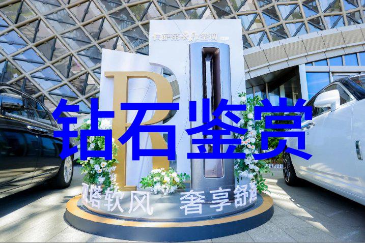 工艺之美从原材料到完美品质的精妙变革