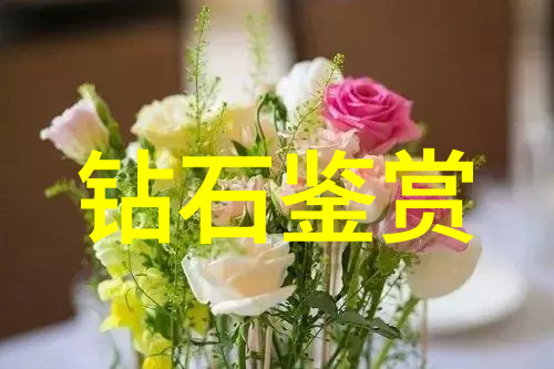 缅甸翡翠鉴定之道揭秘翡翠的色泽与质地