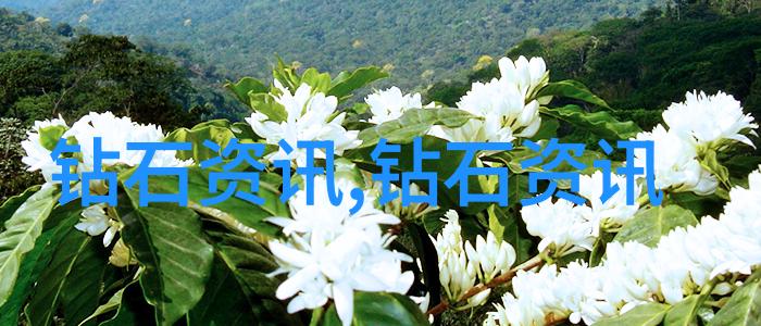 工艺品包括哪些我来告诉你这不少从手工珠宝到泥塑雕像再到精致的陶瓷器皿每一种都是独特的艺术作品