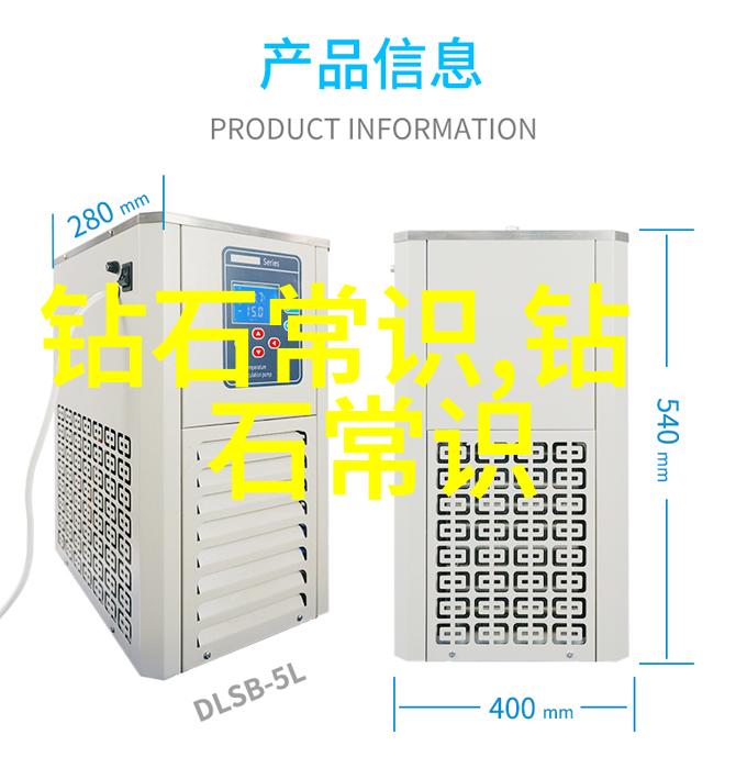 了解中国传统节日春节的由来与习俗