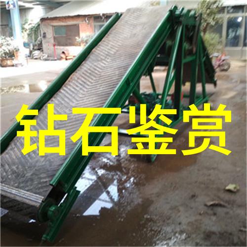 一鼎一珠宝咋样查真假-鉴赏技巧与辨别方法的艺术探究
