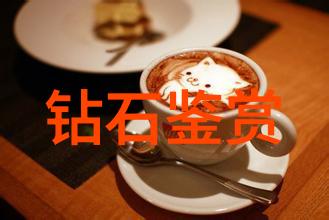 公共交通体系规划市政工程中怎样设计高效可持续的出行网络
