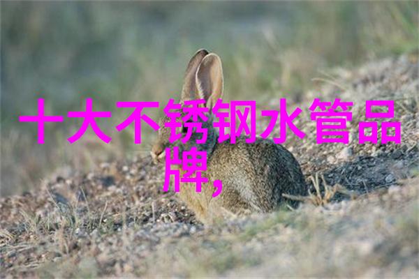 嫡妻不好惹家族荣耀与爱恨纠缠