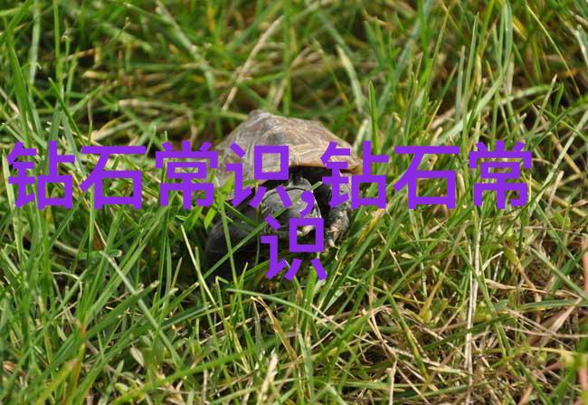 红宝石家族的新成员孔雀石自然界的奇迹