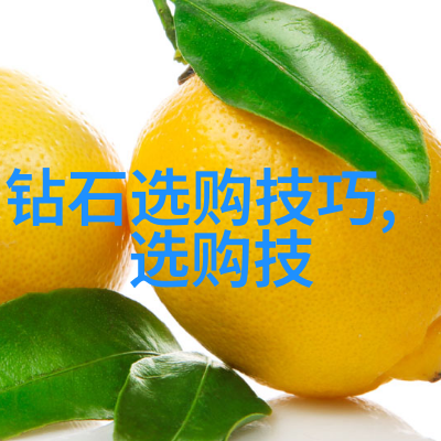 宝庆银楼传统艺术与现代魅力的交响