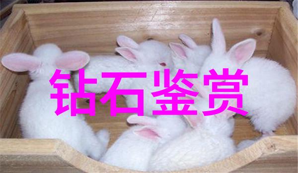 秘密铸造模具工艺的迷雾之中