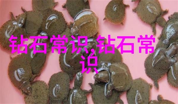 机械加工工艺流程详解与卡片制备