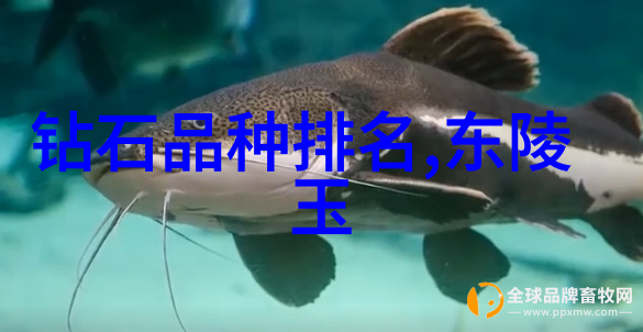 三维建模艺术三维数字模型设计与渲染
