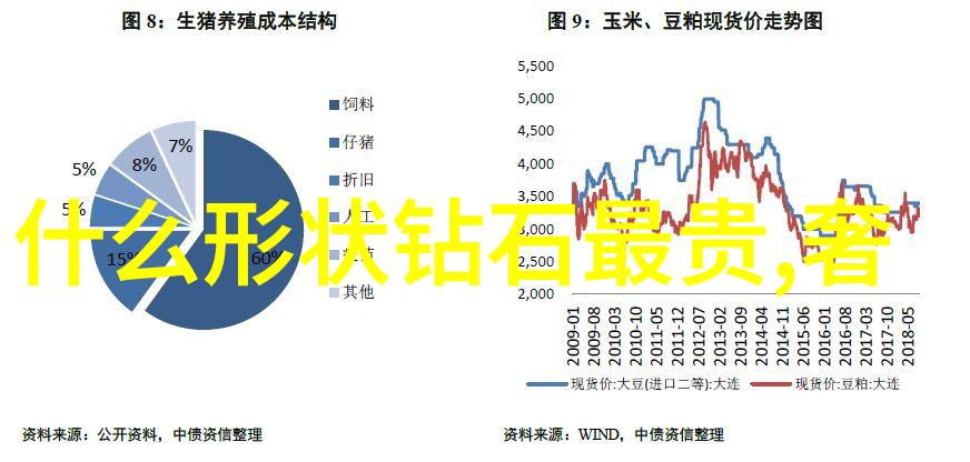 专业发展-追求卓越如何打造一个好的专业