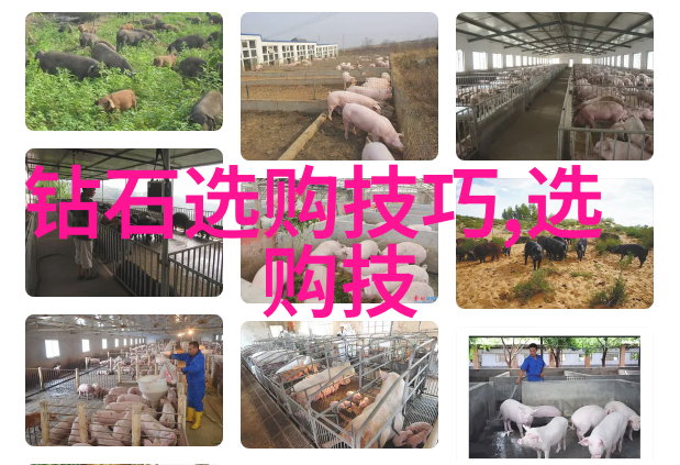 一段关于雨后的秘密花园的故事