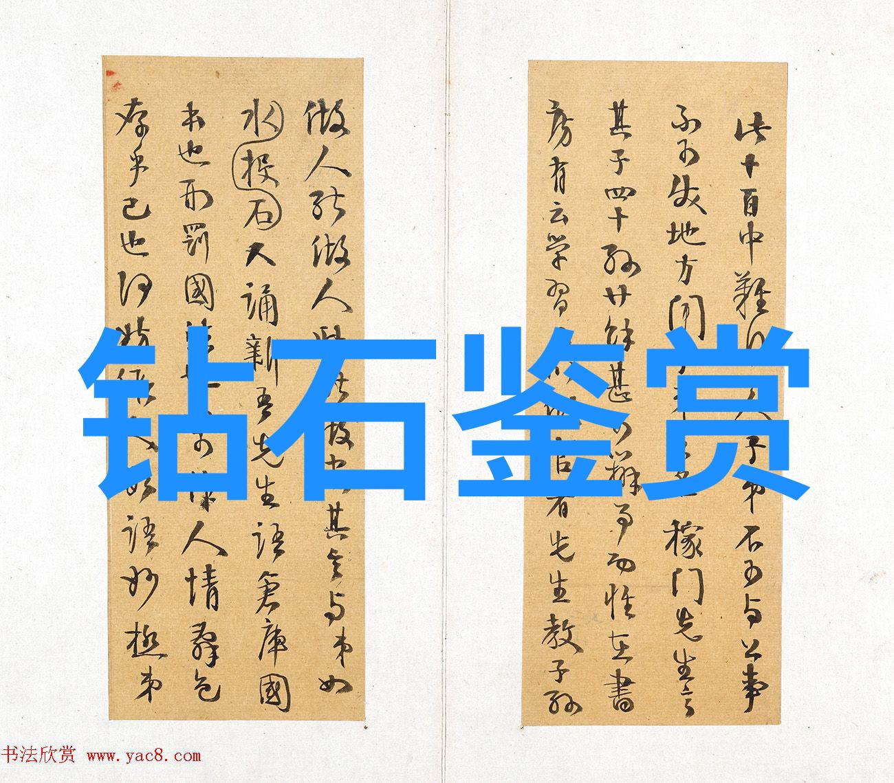 久后菩提根盘图像展现