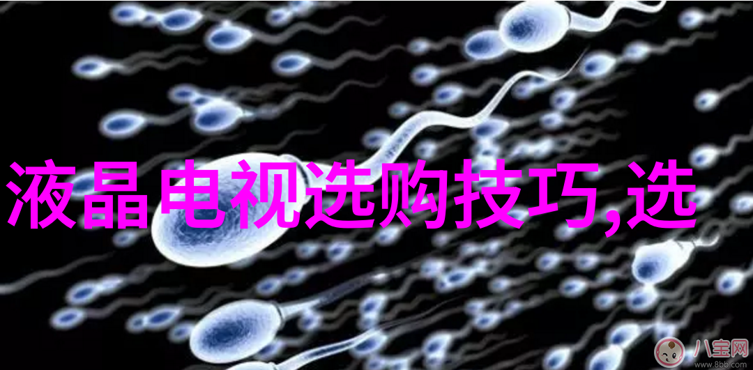 密斯凡德罗西班牙风情的美味世界