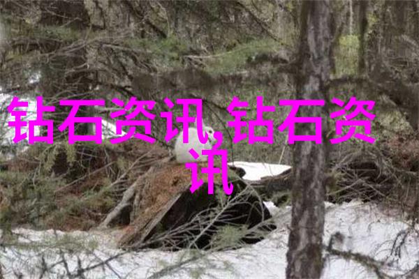工艺之谜织梦者与机器的秘密交响