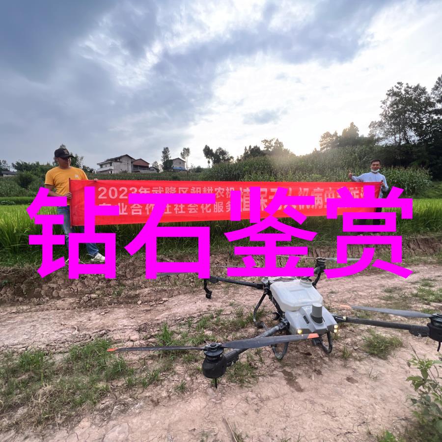 文化部官方网深度探索中国文化的窗口与桥梁