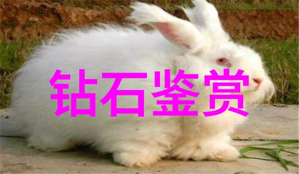 和田玉之谜半宝石还是全真贵重探究其价值与特性
