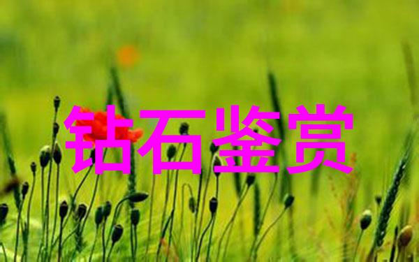 折腰小说开车驾驭命运的紧张抉择