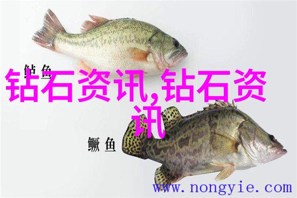 工商管理学掌握企业运营的关键策略与实践