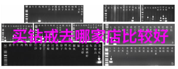 探索中国文化的奥秘与魅力