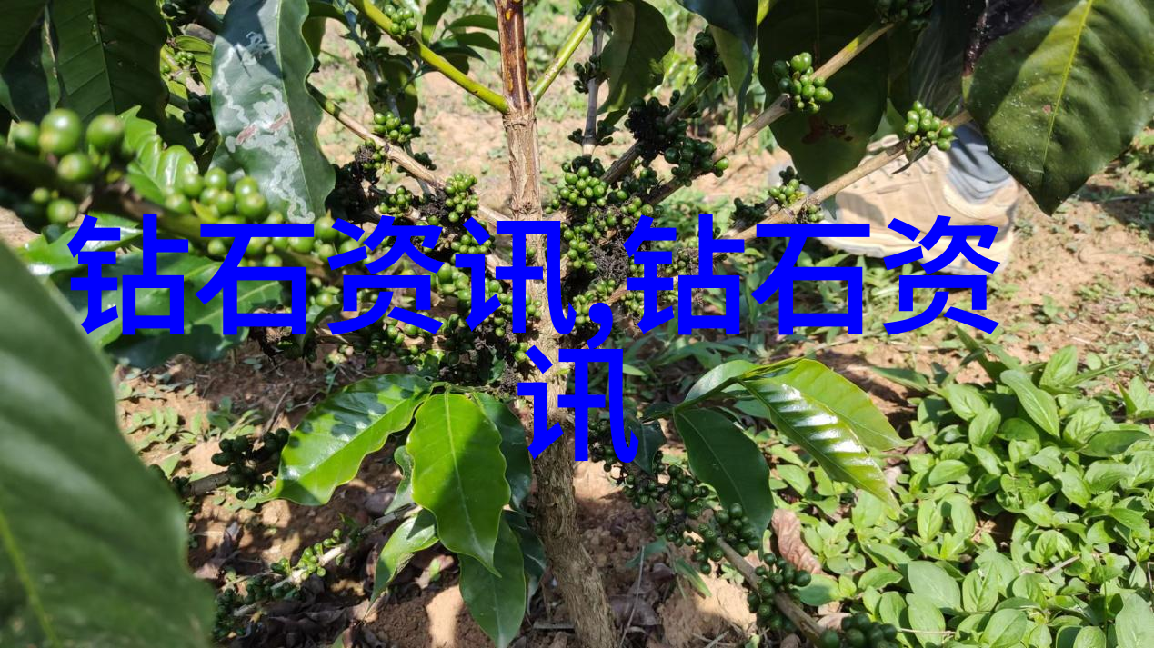 百年好合咬春饼的传统与现代融合之旅