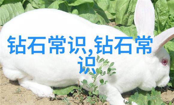 翡翠鉴定技巧解析揭秘宝石的颜色质地与光泽