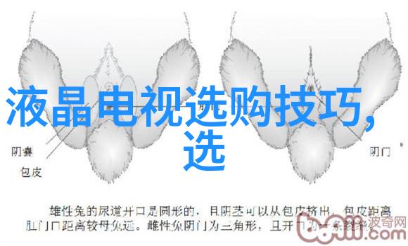 室内艺术设计创意空间的诗篇与色彩语言