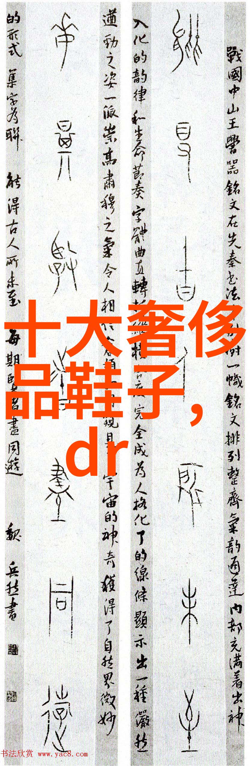 模范丈夫我是如何成为家中的大掌柜