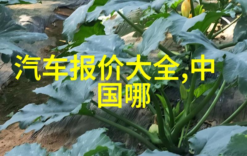 火焰外传燃烧的背影与未知的征途