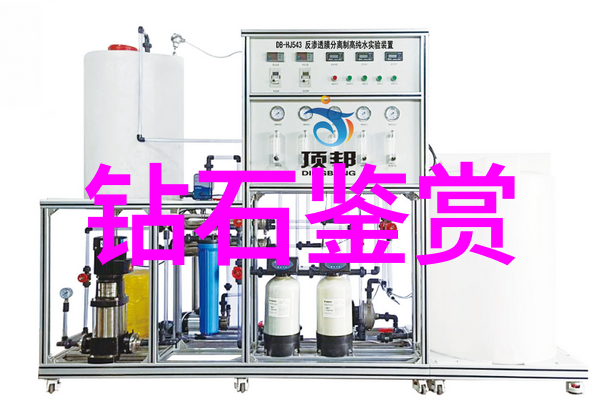 宁波大学的历史可以追溯到哪一年