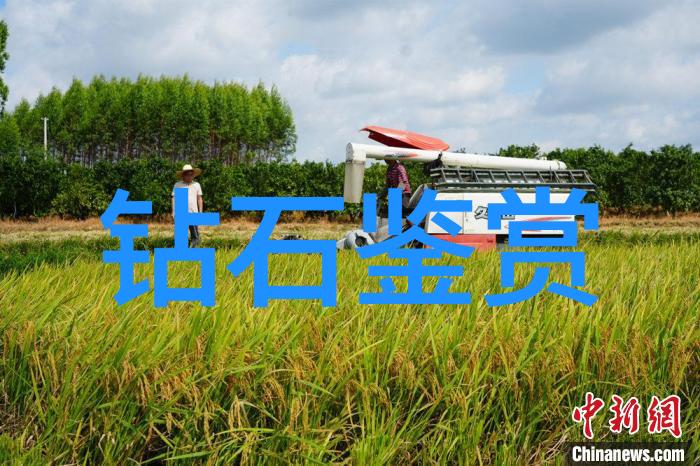 各种珠宝鉴赏我来教你如何辨别真假首饰