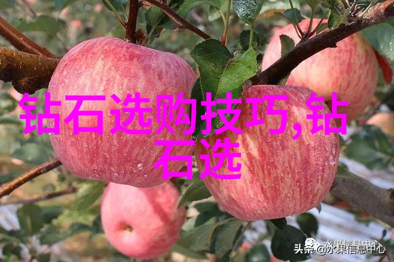 璀璨宝石与精妙工艺探索宝石及材料工艺学的艺术与科技