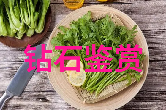 光阴的故事岁月流转下的爱恨情仇