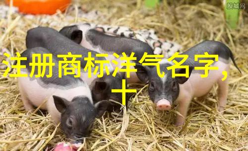 智能技术如何改变我们的生活和室内环境