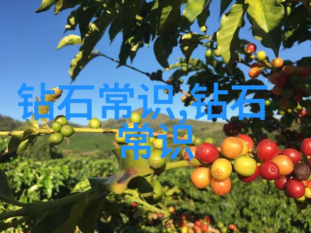 工艺的多样性与创意无限探索不同领域的艺术表达