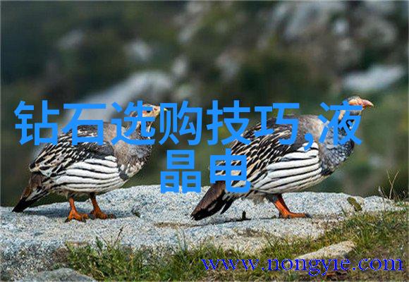 家具设计与工程创意与实用之交融