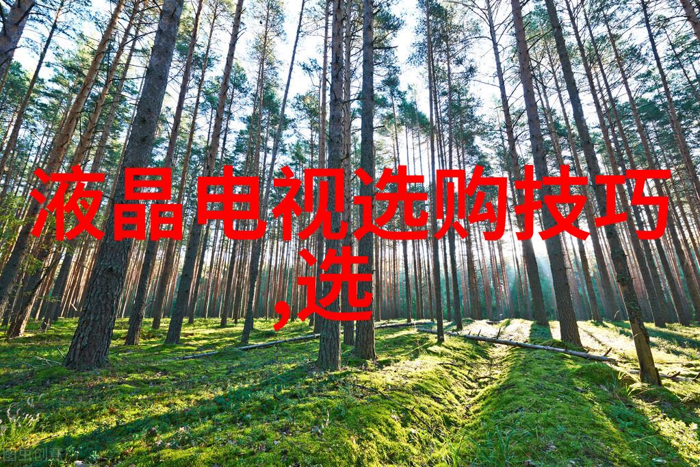亏亏的视频带疼痛声的软件-哀嚎与泪水探索那些让人心碎的视频软件